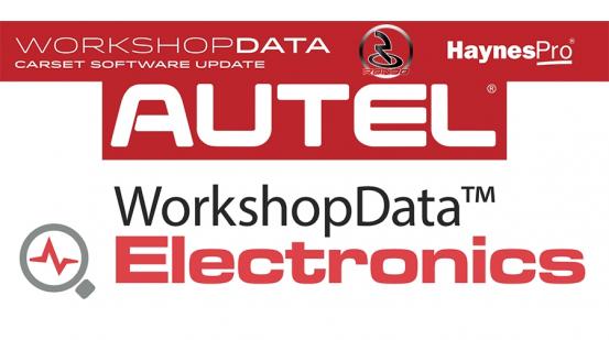 Autel Haynes Pro Electronics