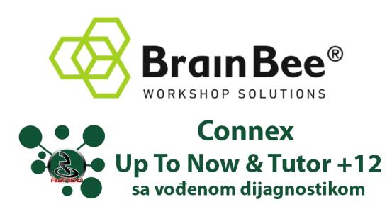 Brain Bee Connex upToNow+Tutor+12
