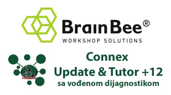 Brain Bee Connex Update+Tutor+12