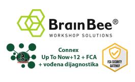 Brain Bee Connex Up To Now+12FCA+Tutor